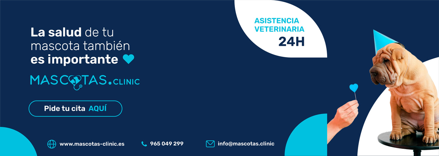 banner web mascotas.clinic