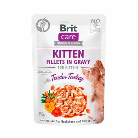 Brit kitten sobre - BRIT