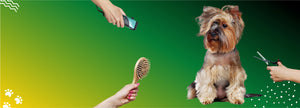 Servicio de peluqueria canina, felina y conejos mascotas.shop orihuela