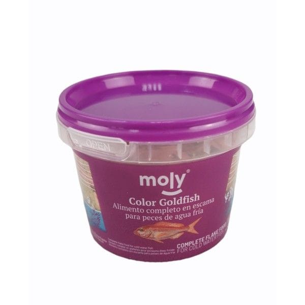 Moly goldfish - MOLY