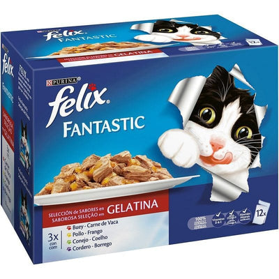 Felix fantastic - FELIX