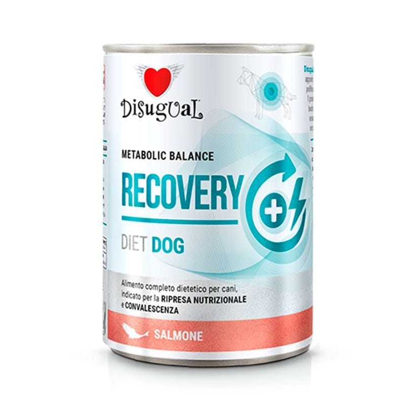 Recovery diet dog - Disugual