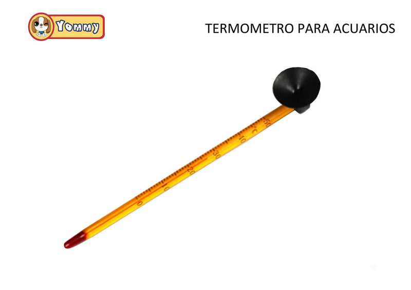 Termometro - YOMMY