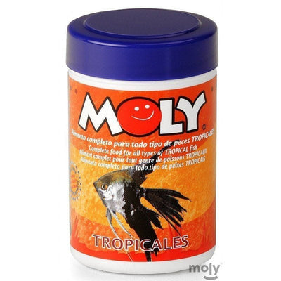 Moly tropicales - MOLY
