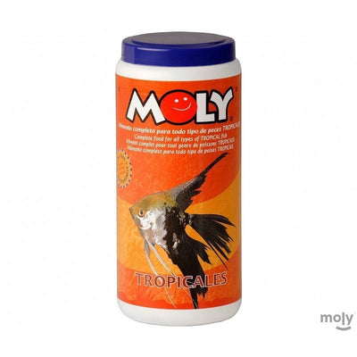 Moly tropicales - MOLY